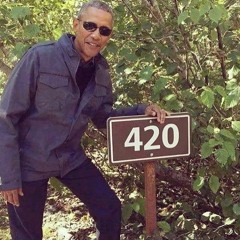 molly cozy huntly - sheesh