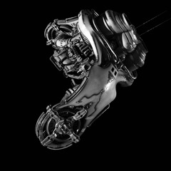 Echoes of the Dark Void