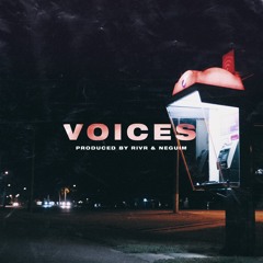 Voices (feat. Neguim)