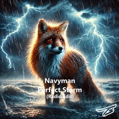 Navyman-Perfect storm_radio edit