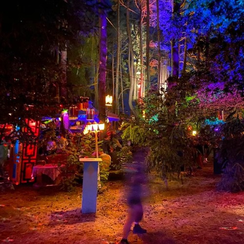 NOG 2021 live spelunke kranich