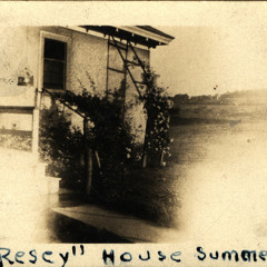 untitled 09 / summer