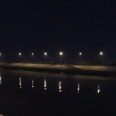 ما اوحش المدن بلا اصدقاء