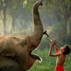 Playing for the Elephant, instrumental*