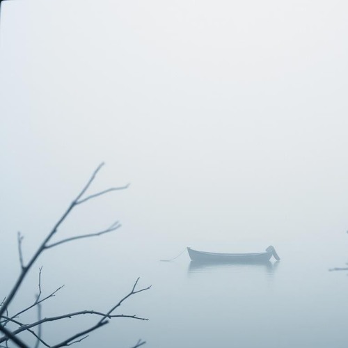 The Flood (Album Version)