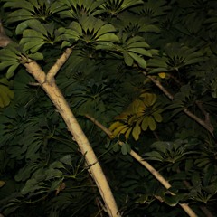 take your time with me