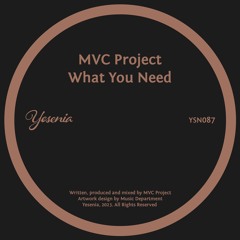 PREMIERE: MVC Project - What You Need (Disco Gospel Mix) [Yesenia]