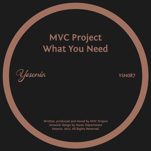 PREMIERE: MVC Project - What You Need (Disco Gospel Mix) [Yesenia]