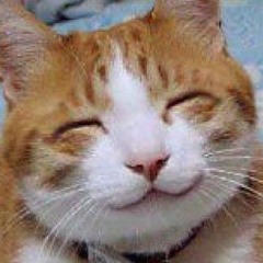 смєшно, смєшно😊😚