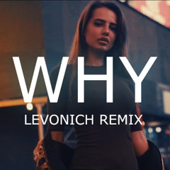 Antique - Why (Levonich Remix)