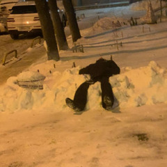 пьяный угар (prod. 2:56aftersunrising)