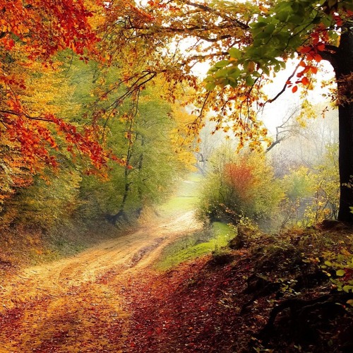 Autumn Dream (2021) Anthology CD4 Track 01