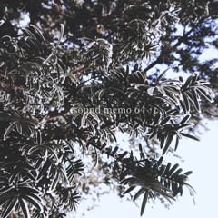 sound memo 64 - days inside the snow wall -