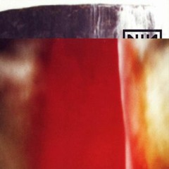 Nine Inch Nails- The Frail (EchoplexTwin Remake-Remasted)