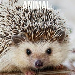 ( NNw ) My Spirit Animal: Hedgehog Journal by  Golding Notebooks ( SRq )