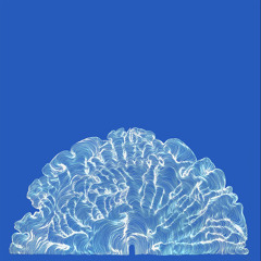 Doing The Beeston Bump