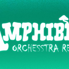 Amphibia orchestra remix