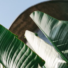 Saturday Delights by Future Feelings