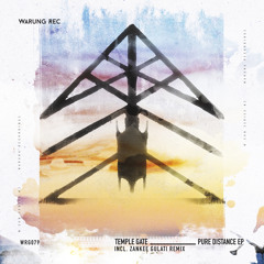 Pure Distance (Zankee Gulati Remix)