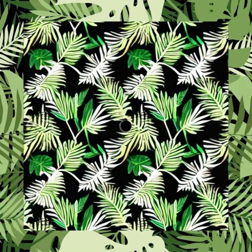 Bait and Switch Preview Out 2-23-24