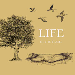 25 - A Place of Consolation and Joy - Life in His name - 6.22.2025