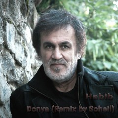 Habib Donya (Soheil remix).mp3