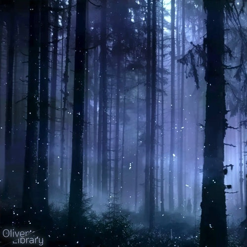 Oliver's Library - Butterfly Effect