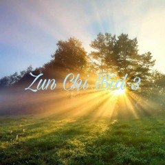 Mezo & Xuclen - Zun chi bid 3