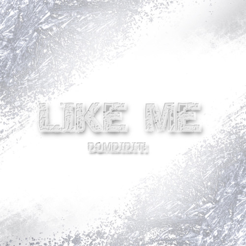 Like Me - A Beat By “DomDidIt!”