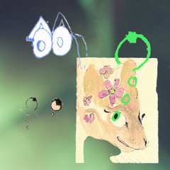 PREMIERE : Acidgigi - Echo Mom