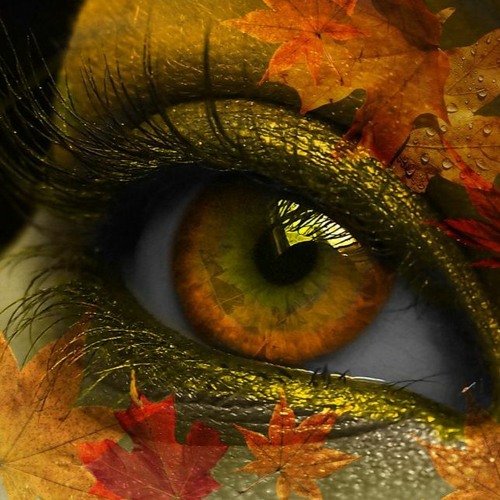 Autumn Song - Valhjim Martin Miers
