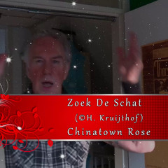 Zoek De Schat