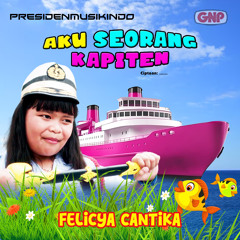 Aku Seorang Kapiten