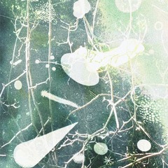 [17] 012 •º SJK …¶•🌿