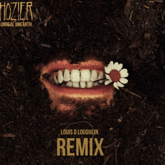 Hozier - De Selby Part 2 (Louis O Loughlin Remix)