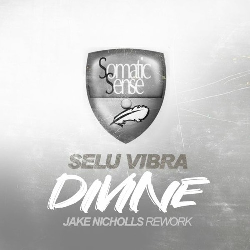 Selu Vibra Divine - Jake Nicholls Rework - FREE DOWNLOAD