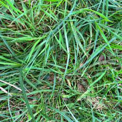 49m² | 新录音 137