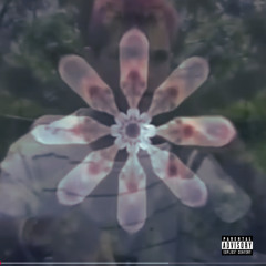 Starz Align