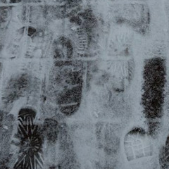 this is not a love song (self prod)