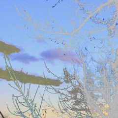 Nectar (ft Captainsaveyoself X YUCCIPRO)