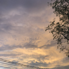 Denny Frust - Lonely In The Crowded Place