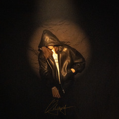 Чёрный лебедь