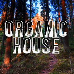 Chill organic house mix in forest