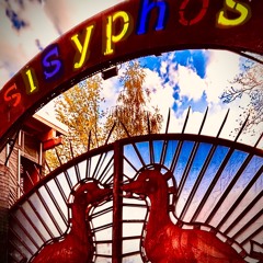 access:dance // @Sisyphos_berlin I Hammahalle 22-03-2025 (hybrid)