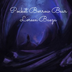 Pocket Borrow Bear