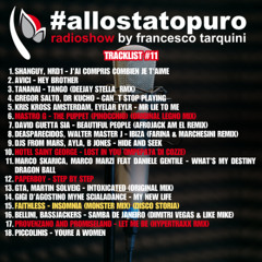 Allo Stato Puro011