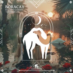 Riccardo Leardini , Visionaire (IT) - Boracay (Original Mix)