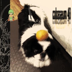 colosseum 40 w/myrmax