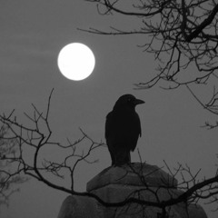 Bite On (prod. Nokija)