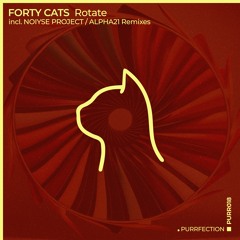PREMIERE: Forty Cats - Rotate (NOIYSE PROJECT Remix) [PURRFECTION]
